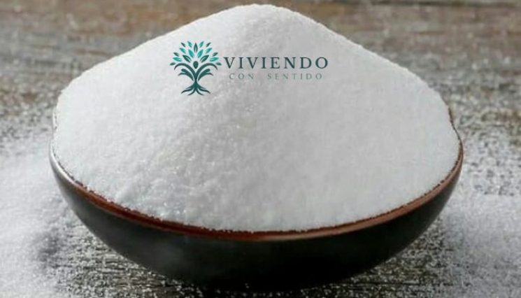 Anti Cáncer. Viviendo con Sentido.