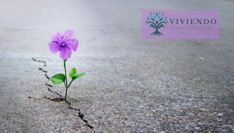 Resiliencia. Viviendo con Sentido