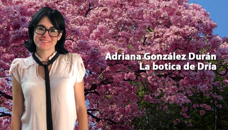 Los colores de la ciudad. Adriana González Durán