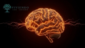 El Cerebro(II). Viviendo con Sentido