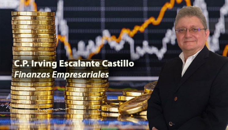 Las sociedades de inversión. Irving Escalante Castillo
